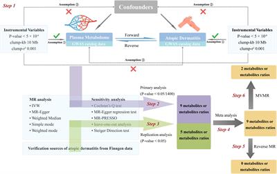 Exploring genetic associations between metabolites and atopic dermatitis: insights from bidirectional Mendelian randomization analysis in European population